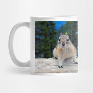 Chipmunk in Banff Alberta in Canada Mug